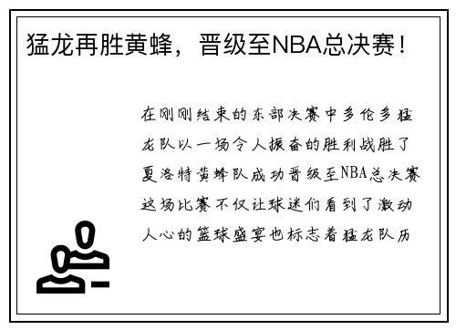 猛龙再胜黄蜂，晋级至NBA总决赛！