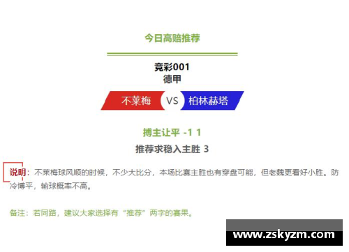 YY易游体育官方网站柏林赫塔客场逼平云达不莱梅，积分榜上继续领跑德甲联赛 - 副本